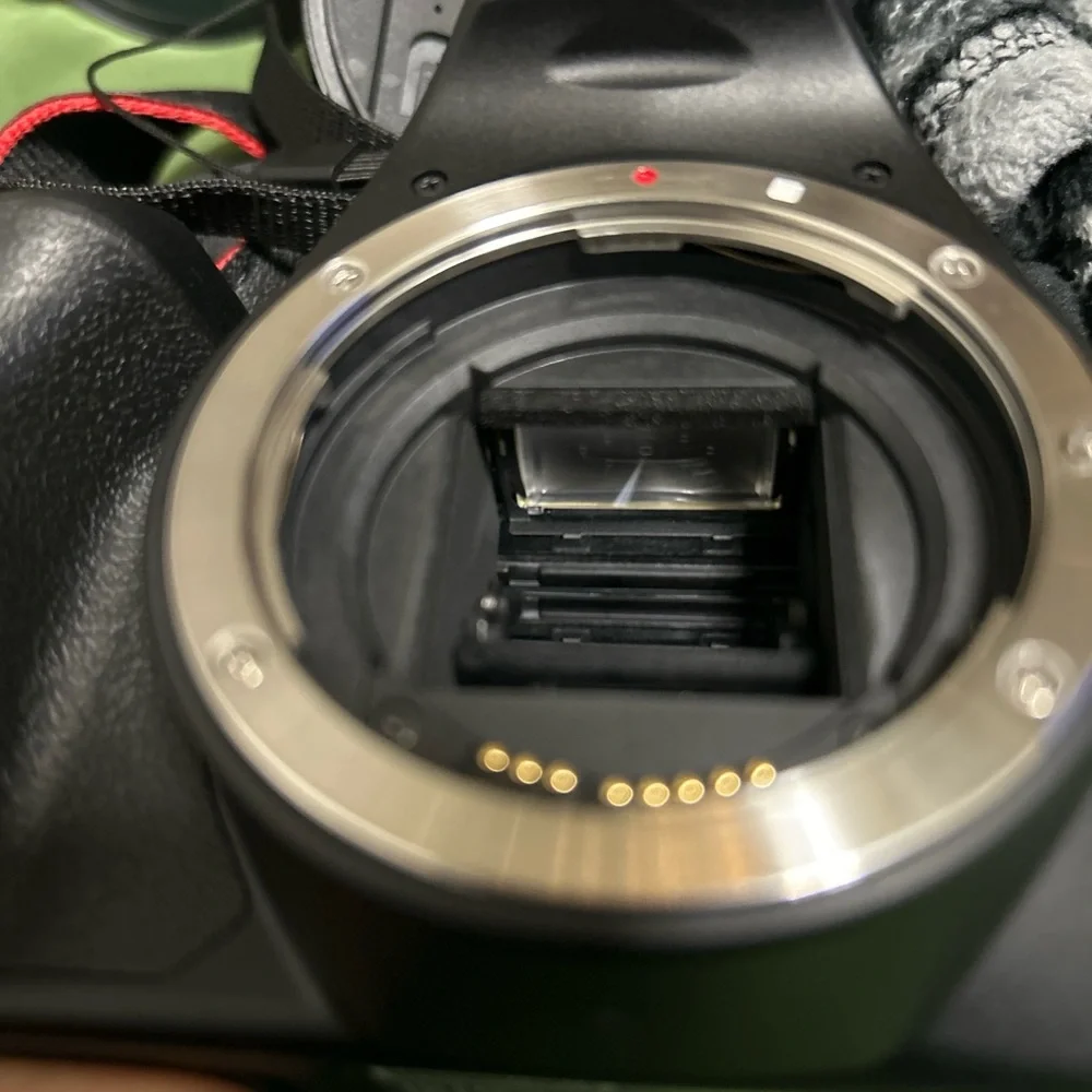 Canon sleek camera